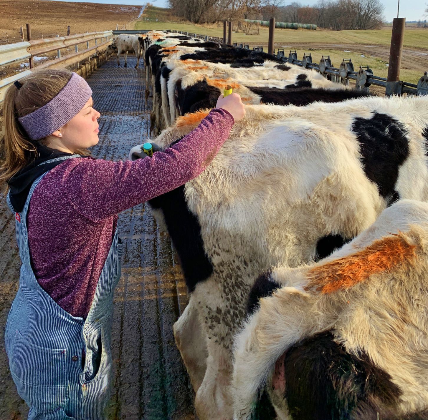 Next Generation of Dairy
